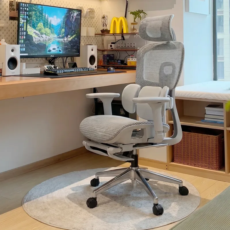 Ergonomic Office Chair with Lu - Home Office Ergonomics 评论和价格